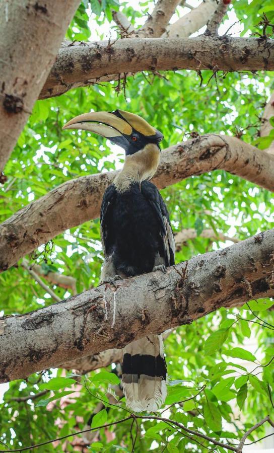 Jungle Addition Phnom Penh Ngoại thất bức ảnh